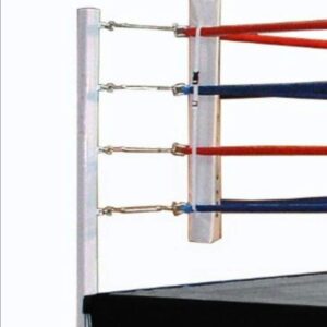 Ring de Boxeo Profesional